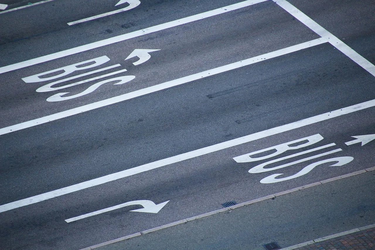 100 zł i 5 punktów za buspas w 2026. Kto uniknie kary?