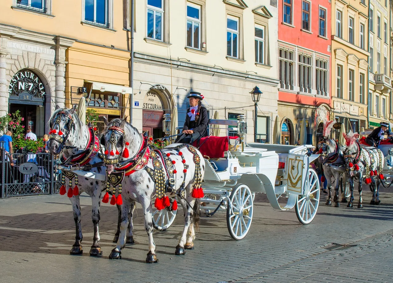 Kraków zapłacił 33 825 zł za badanie SCT. Wyników nie zobaczycie